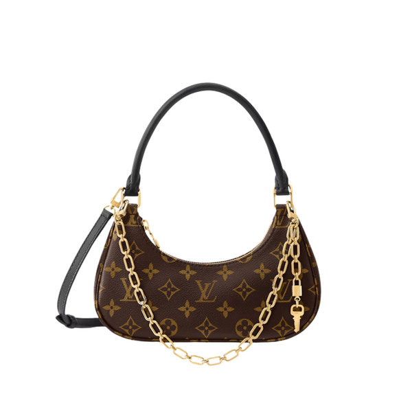 Louis Vuitton Pm Brown Shoulder Wallet
