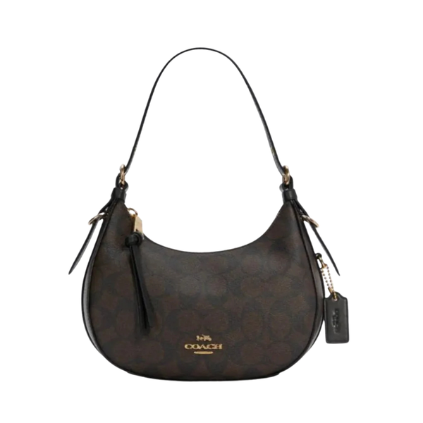 Coach Bag Kleo Hobo Signature Canvas Chestnut Beige Bag