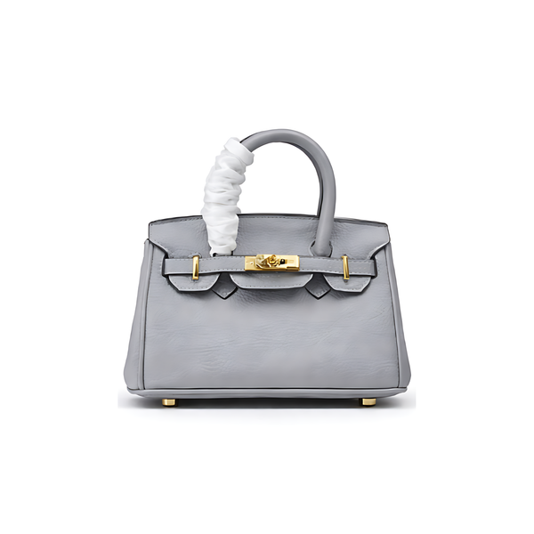 Hermès Birkin 25 Gris Meyer Bag