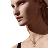 Hermès Amulettes Ex-Libris Pendant Necklaces Jewelry premium replica - image 5
