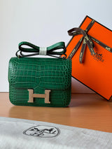 Hermès Constance 18 Cactus Alligator Bag premium replica - image 4
