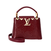 Louis Vuitton Ćapucines Exotic Bordeaux Cap premium replica - image 1