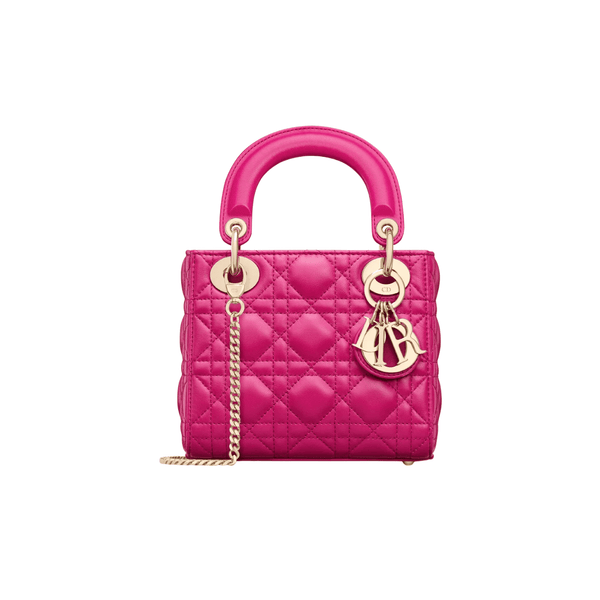 Dior Mini Iviera Lady Bag