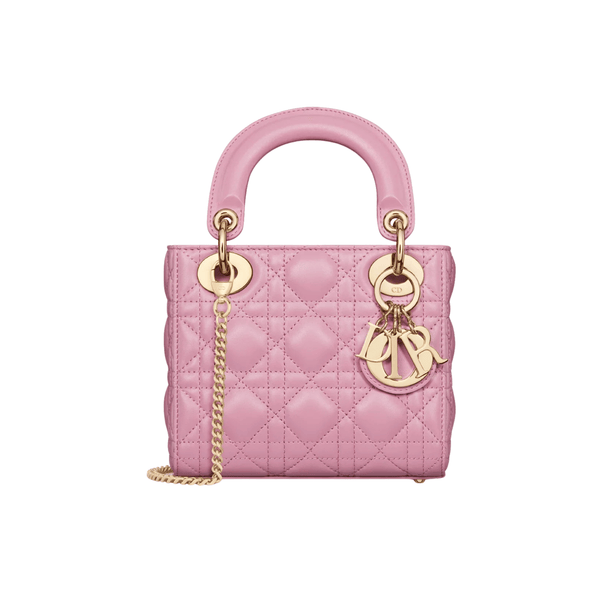 Dior Mini Iviera Lady Bag