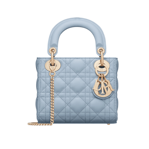 Dior Mini Iviera Lady Bag