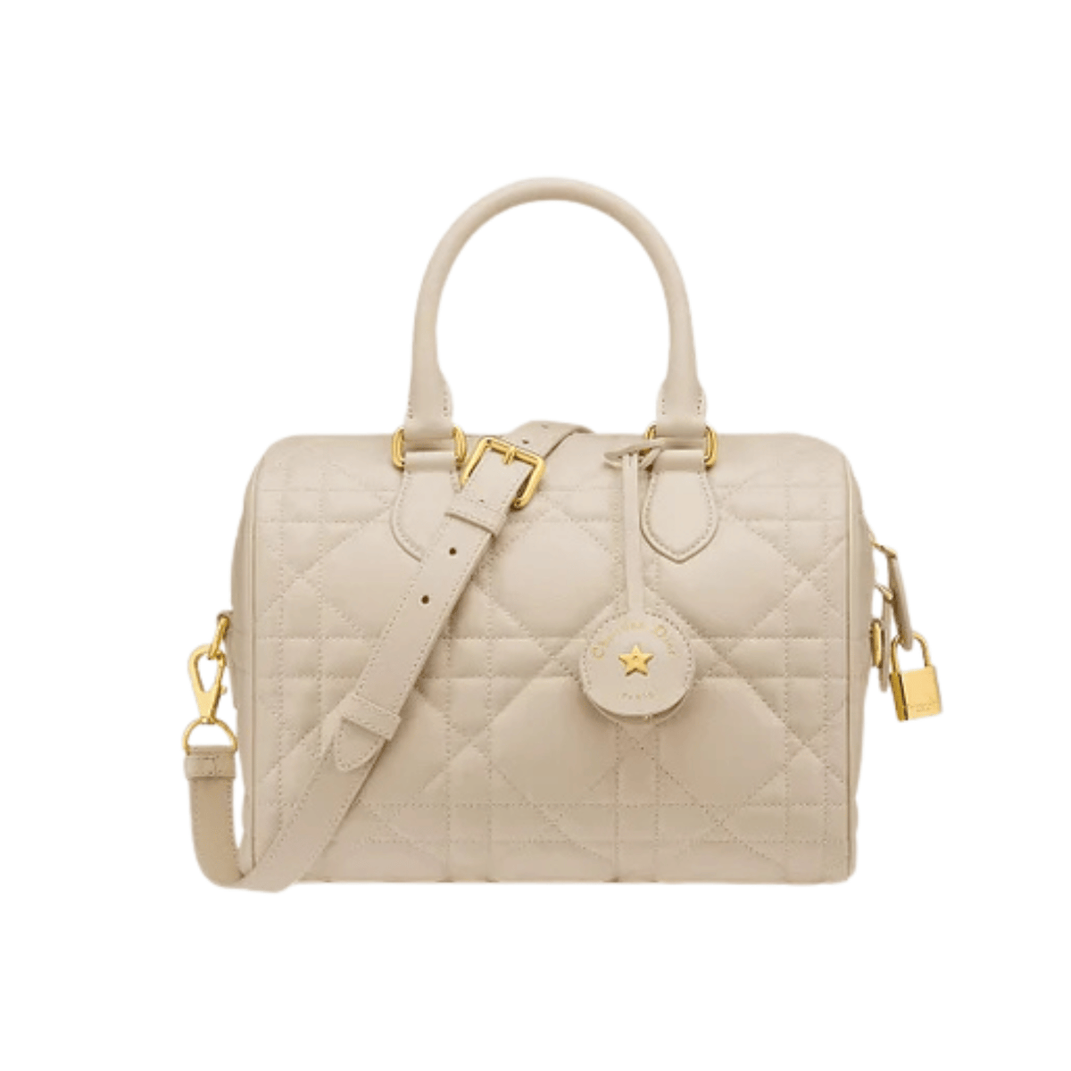 Dior Groove 25 Bag premium replica - image 1